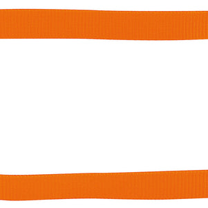 CAMP Express Sling